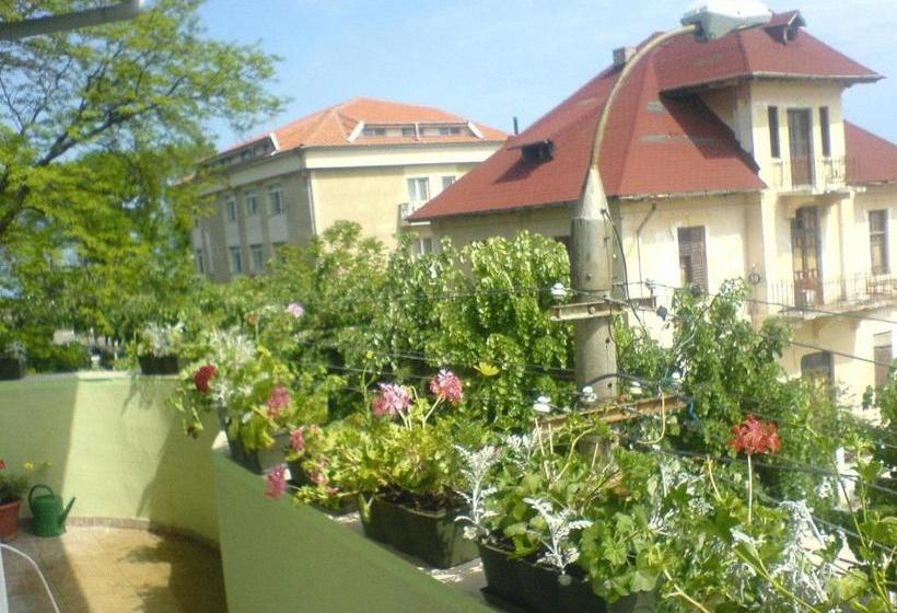 민박 Paradox Movila