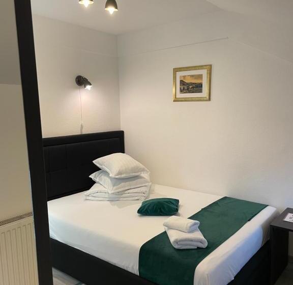 تختخواب و صبحانه Pensiunea Pictorilor