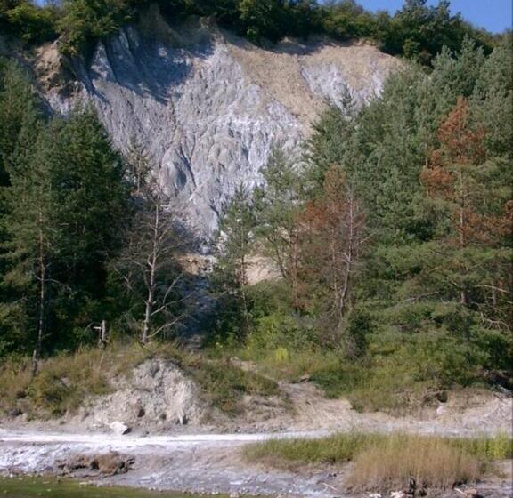 تختخواب و صبحانه Zoltán & Erika Panzió Parajd