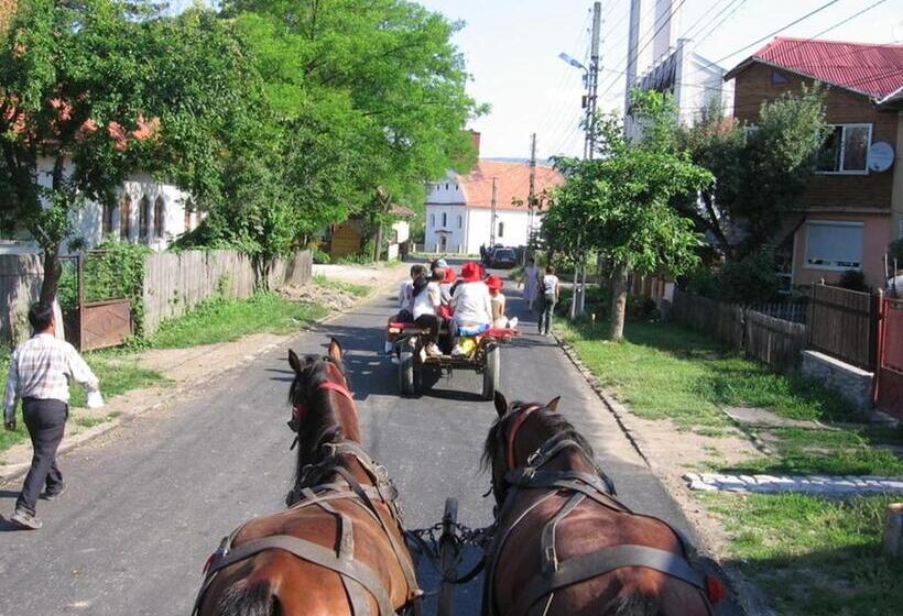تختخواب و صبحانه Zoltán & Erika Panzió Parajd