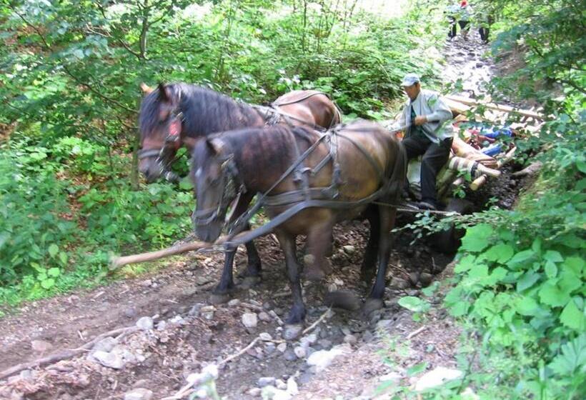 تختخواب و صبحانه Zoltán & Erika Panzió Parajd