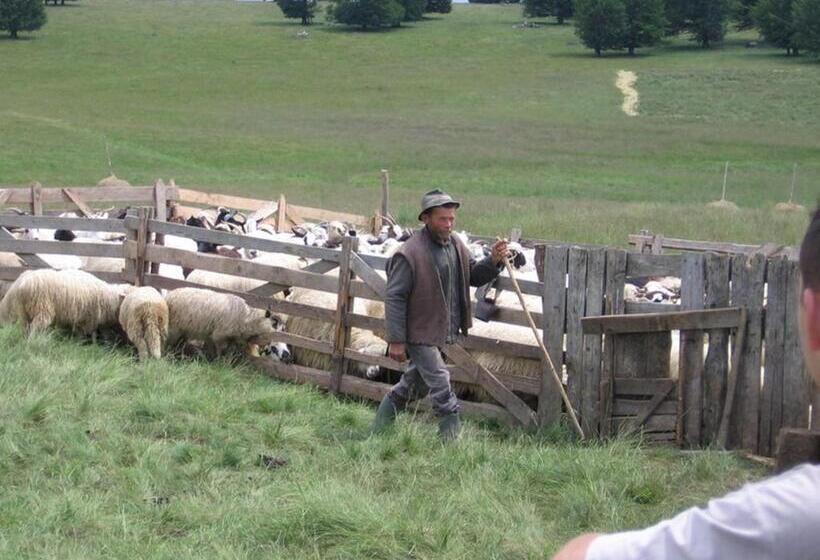 تختخواب و صبحانه Zoltán & Erika Panzió Parajd