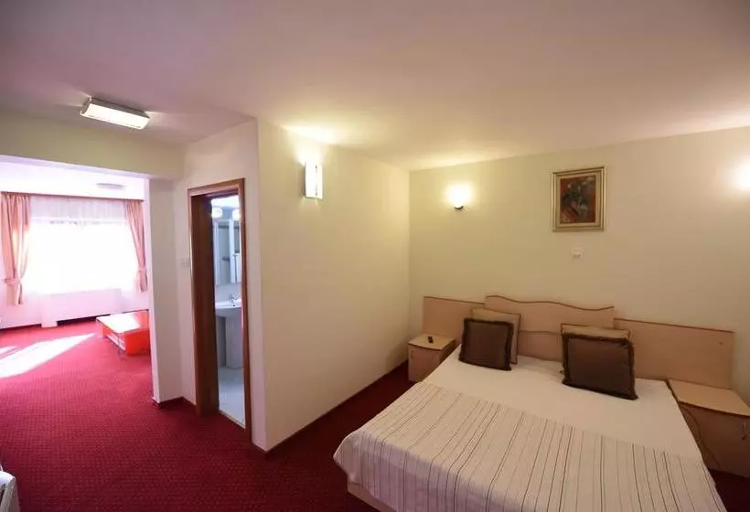 Euro Hotels Gara De Nord (polizu)