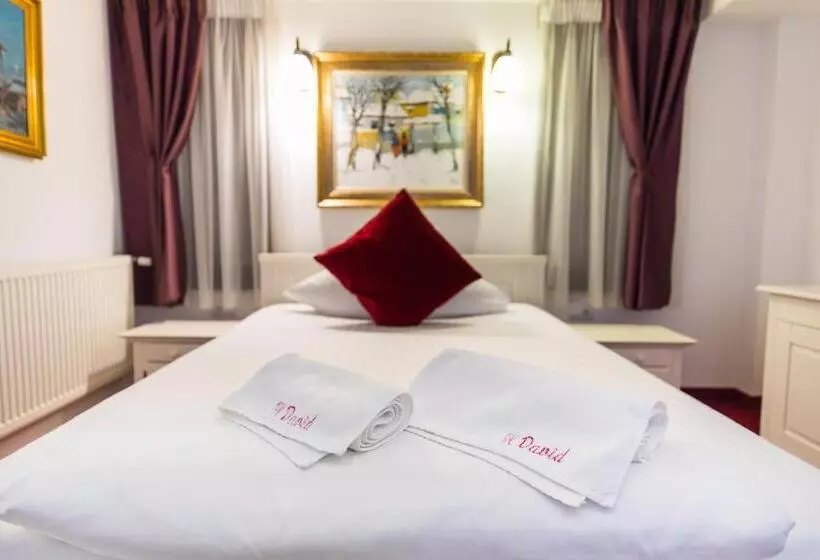 Hotel Casa David