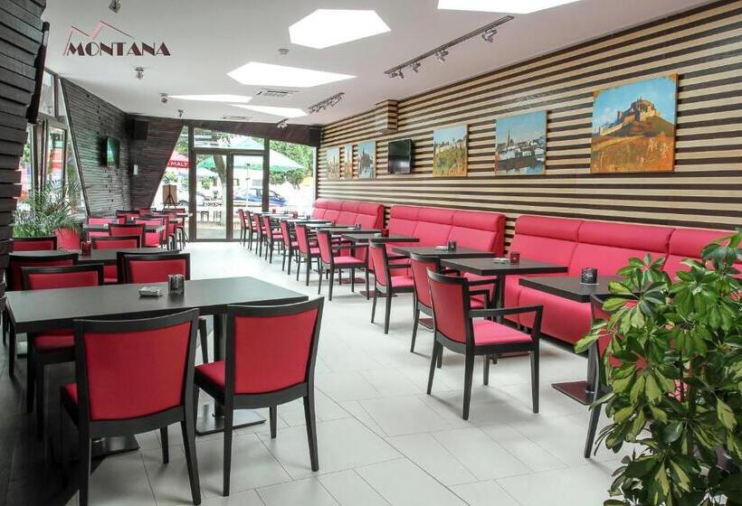 בית מלון כפרי Montana