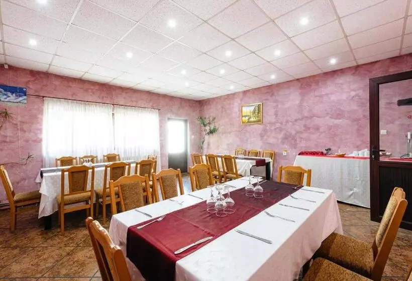Hotelli Pensiunea Casa Zanelor