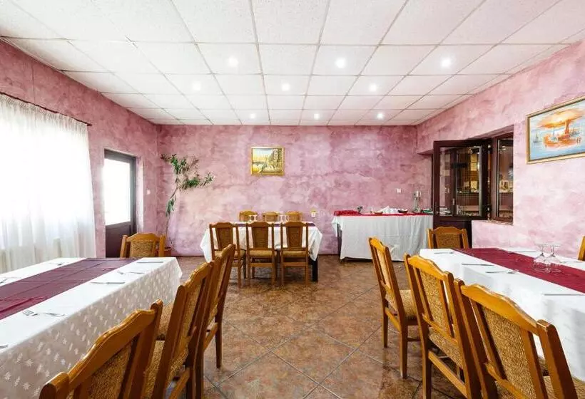 Hotelli Pensiunea Casa Zanelor