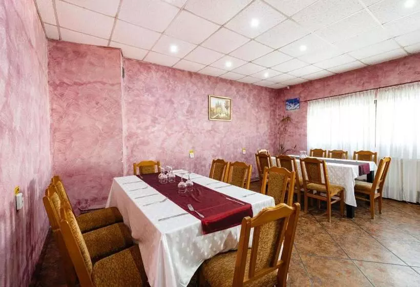 Hotelli Pensiunea Casa Zanelor