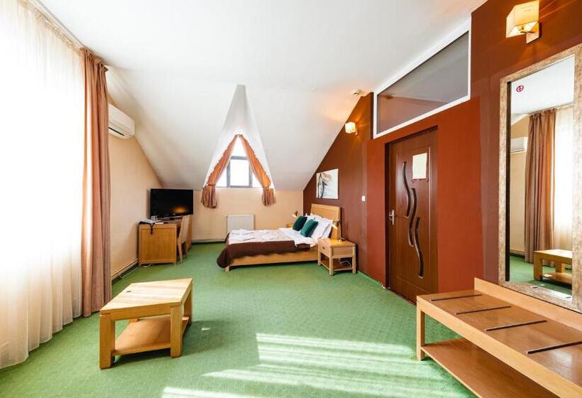 فندق Pensiunea Casa Zanelor