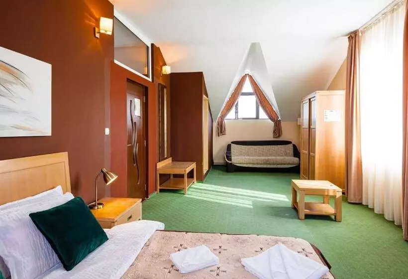 Hotelli Pensiunea Casa Zanelor