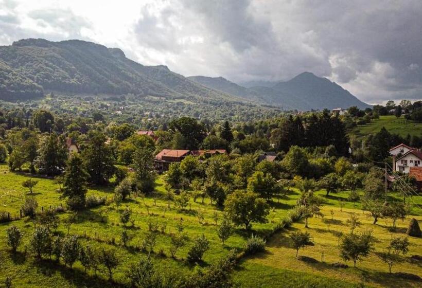 호텔 Serena Guesthouse Bran