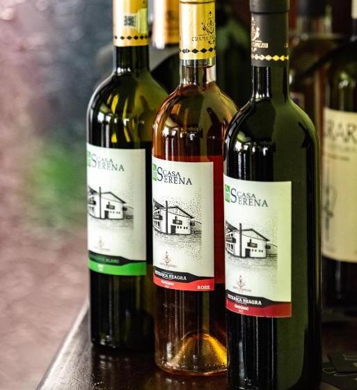 호텔 Serena Guesthouse Bran