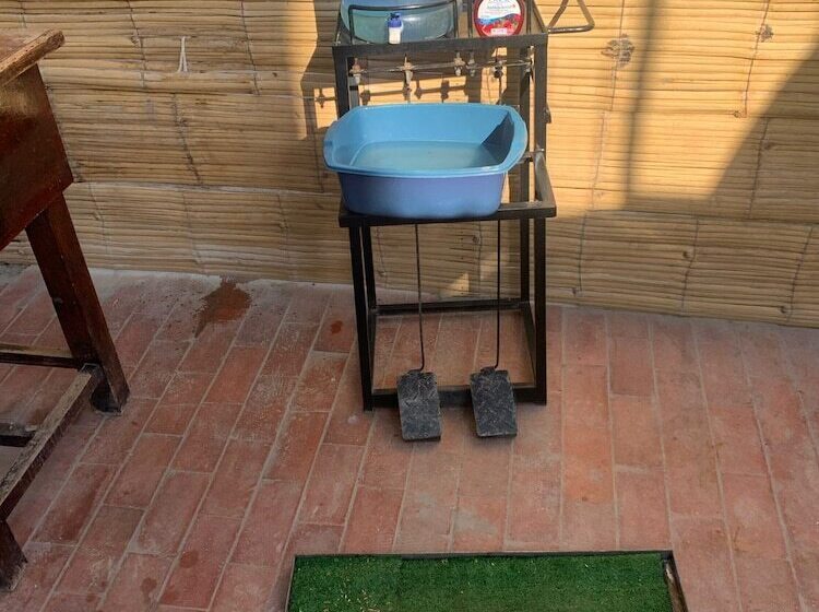 Albergue Loki Del Mar