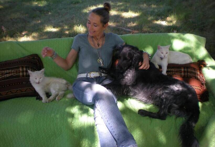 B&b Domaine Le Clos Du Pavillon