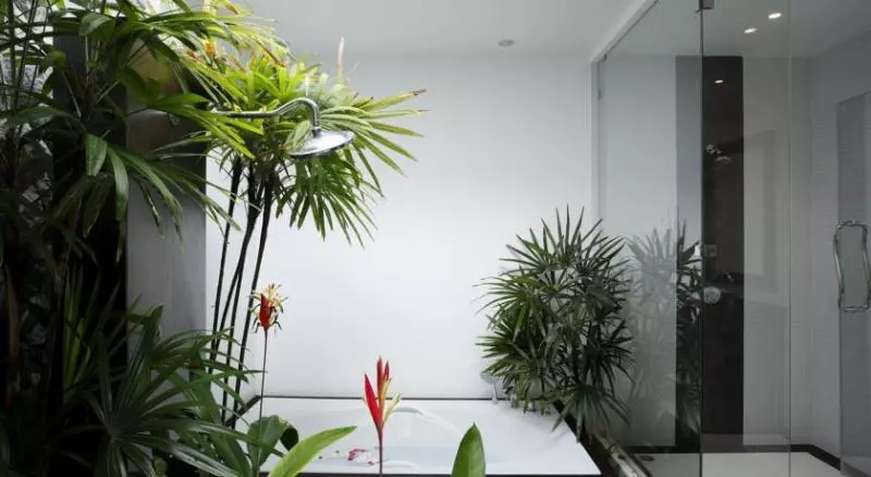 ホテル Villas Aelita Pool Villa Resort
