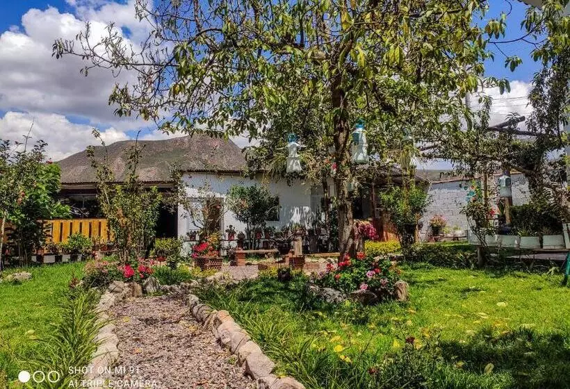 The Willow B&b