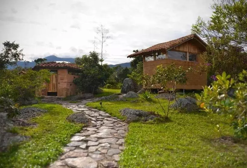 تختخواب و صبحانه Mawasi Finca