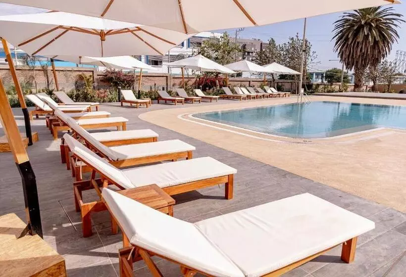 Dm Hoteles Tacna
