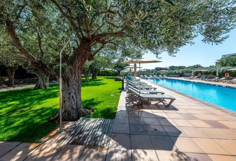 Hôtel Sol Ixent Adults Only