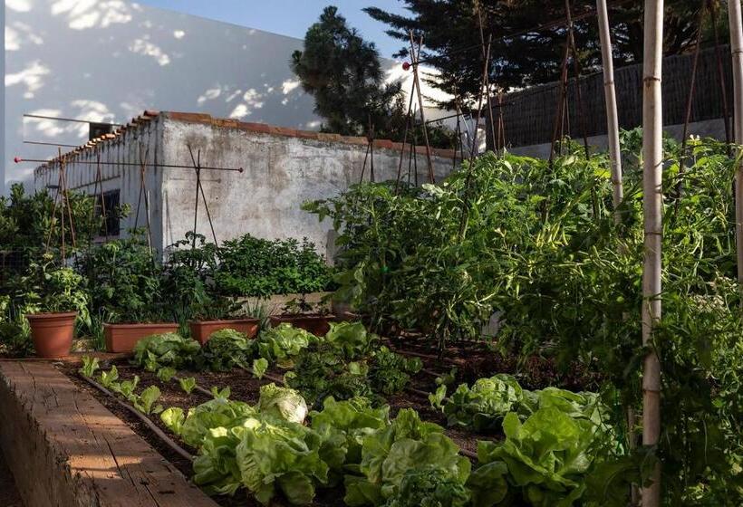 فندق Sol Ixent   Adults Only