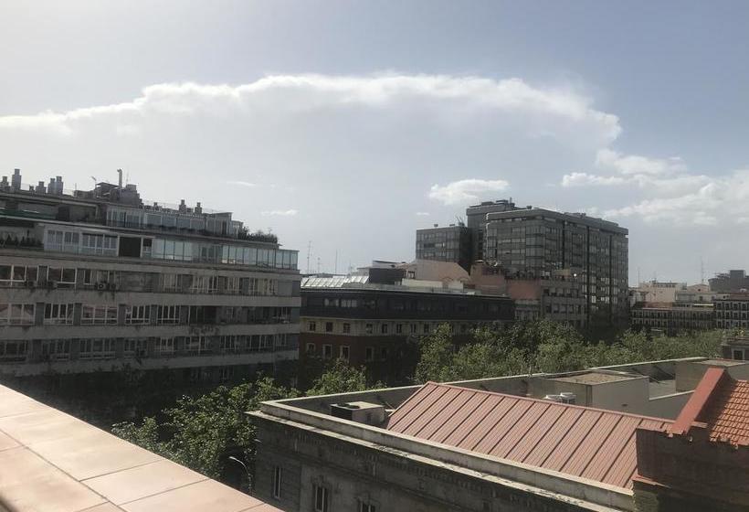 Pil Pil Hostel Madrid