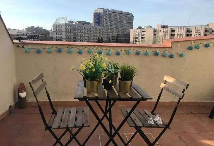 Pil Pil Hostel Madrid