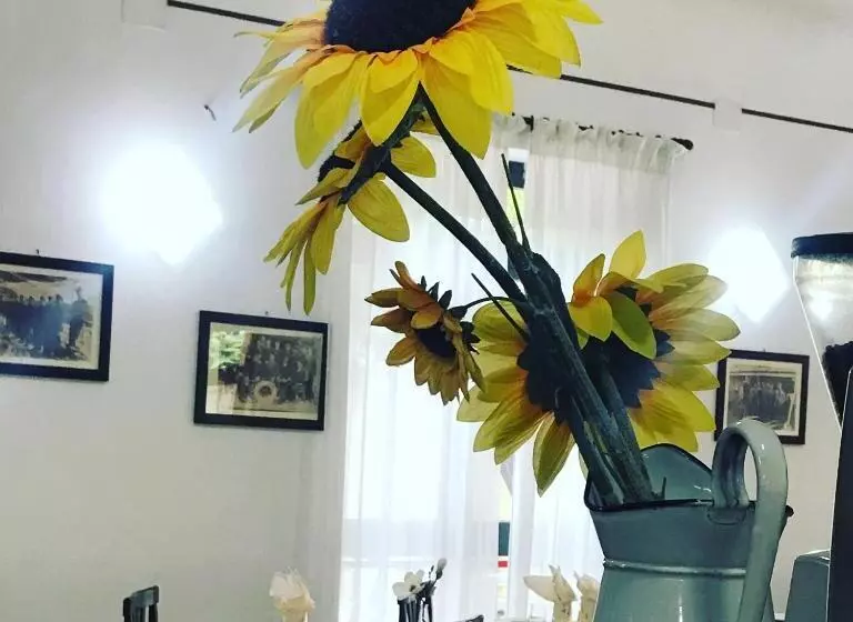 ホテル Villa Lina