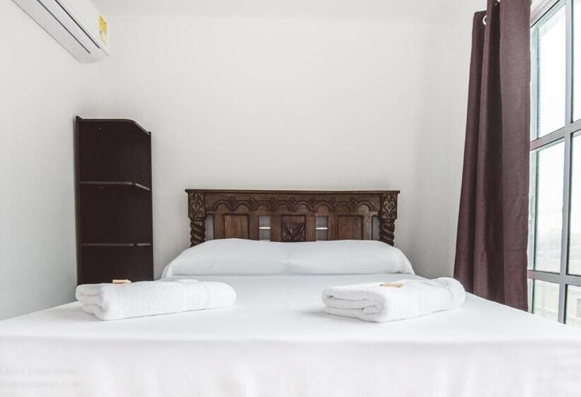 هاستل The Rock House Eco