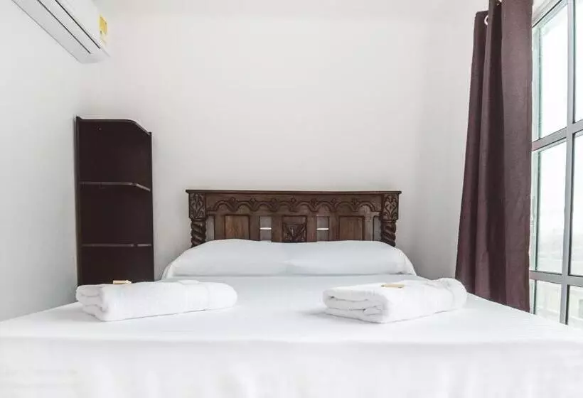 هاستل The Rock House Eco
