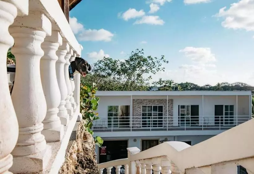 هاستل The Rock House Eco