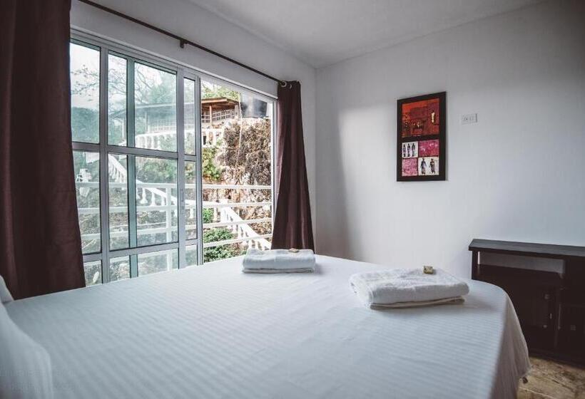 هاستل The Rock House Eco