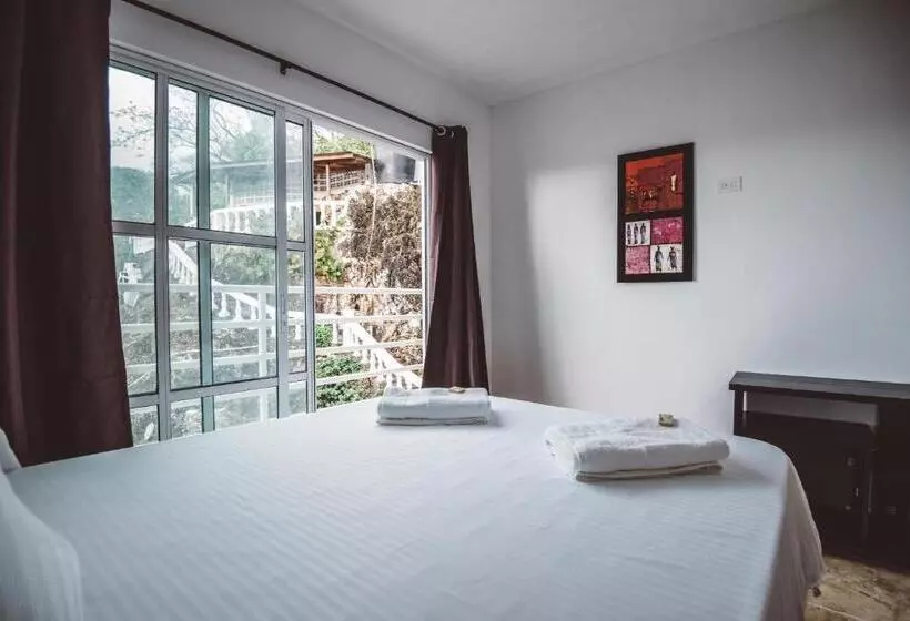 هاستل The Rock House Eco