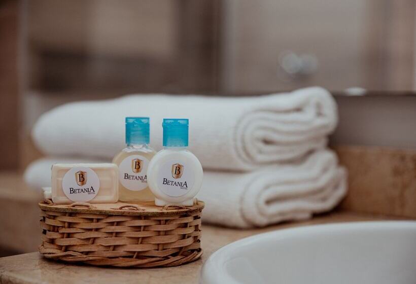 בית מלון כפרי Betania