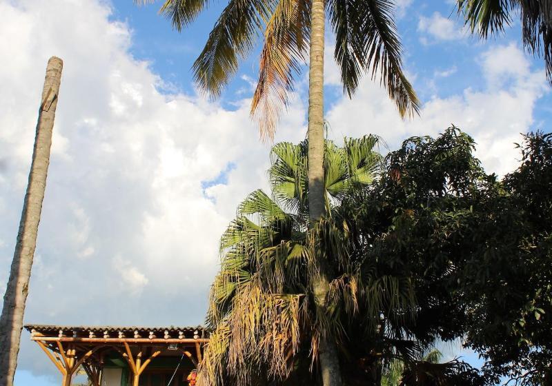 Eco Hotel Las Palmas