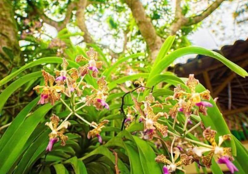 Eco Hotel Las Palmas