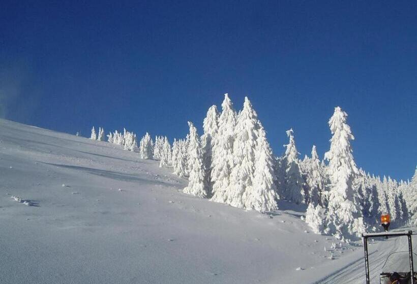 فندق Gasthof Appartements Sportalm