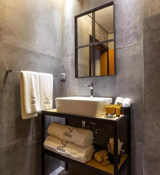 Hotel Villa Sokol
