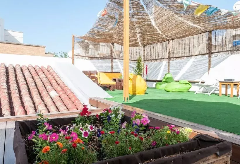 The Nomad Hostel&pension