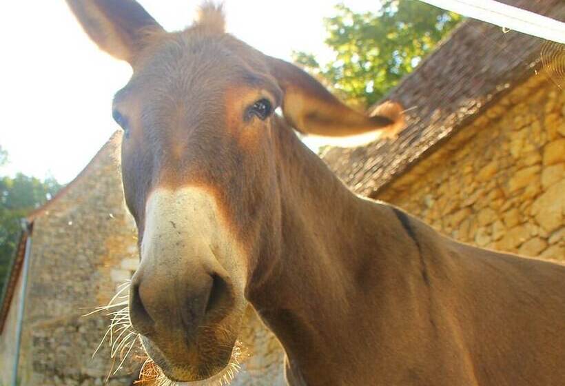 住宿加早餐  Chambre D'hôtes La Rossillonie