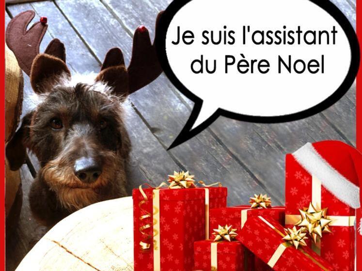 住宿加早餐 La Bournerie