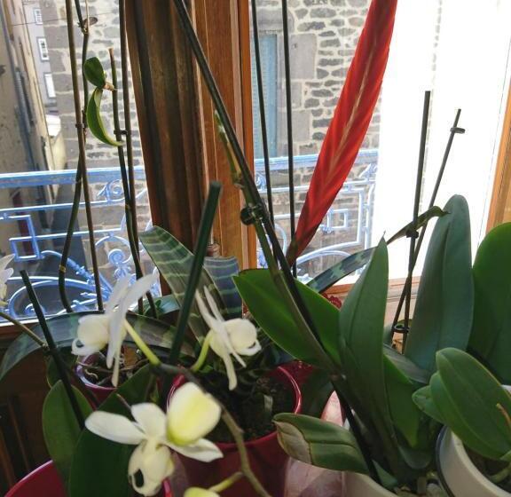 ベッドアンドブレックファースト La Maison D'adelaïde