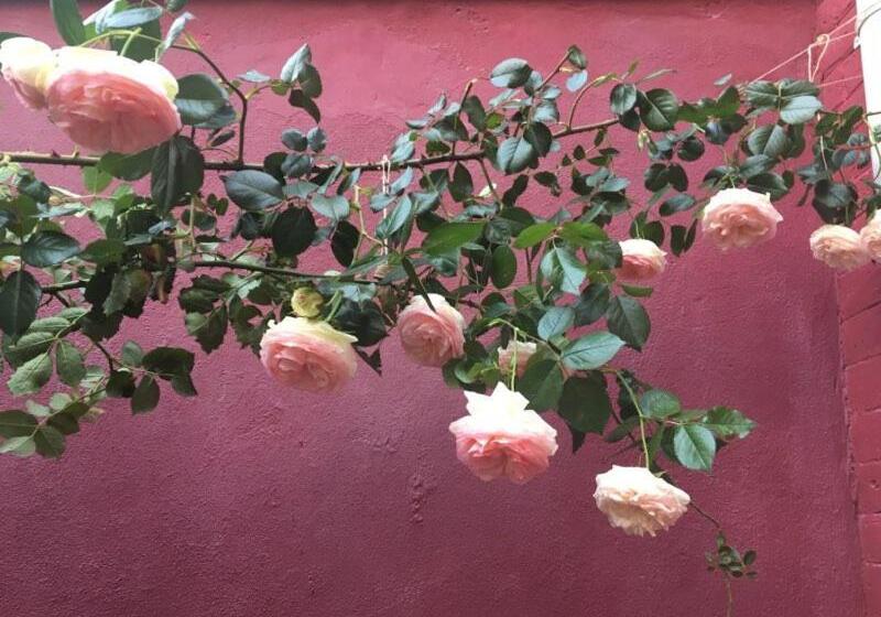 Bed and Breakfast La Maison Rouge