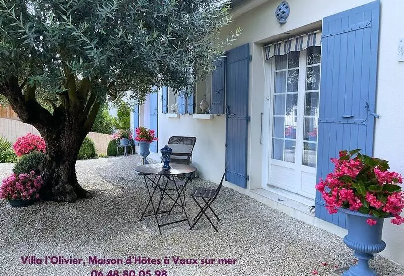 ベッドアンドブレックファースト Chambre D Hotes Les Volets Bleus Villa L Olivier Côté Mer