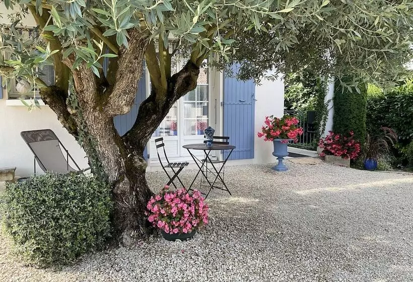 ベッドアンドブレックファースト Chambre D Hotes Les Volets Bleus Villa L Olivier Côté Mer