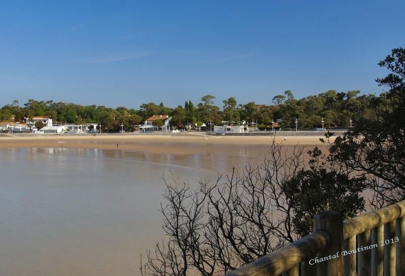 Bed and Breakfast Chambre D Hotes Les Volets Bleus   Villa L Olivier Côté Mer