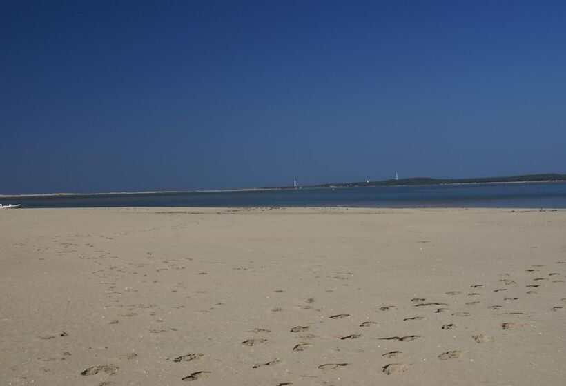 Bed and Breakfast Chambre D Hotes Les Volets Bleus   Villa L Olivier Côté Mer