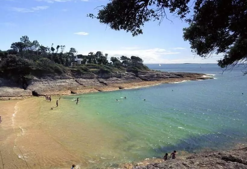 ベッドアンドブレックファースト Chambre D Hotes Les Volets Bleus Villa L Olivier Côté Mer