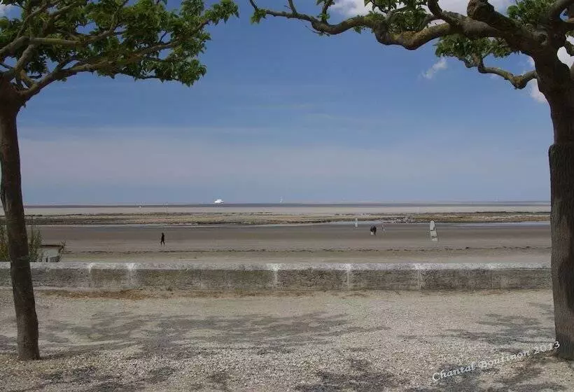 ベッドアンドブレックファースト Chambre D Hotes Les Volets Bleus Villa L Olivier Côté Mer
