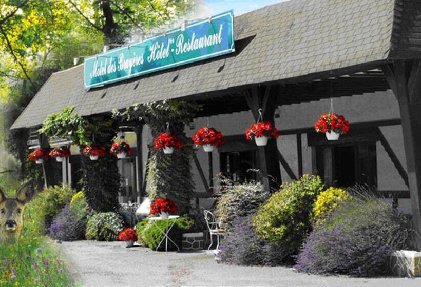 Motel Des Bruyères