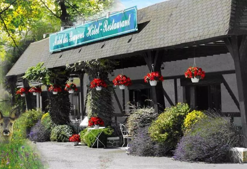 Motel Des Bruyères
